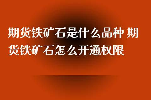 期货铁矿石是什么品种 期货铁矿石怎么开通权限