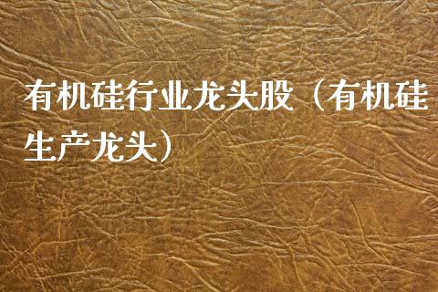 有机硅行业龙头股（有机硅生产龙头）