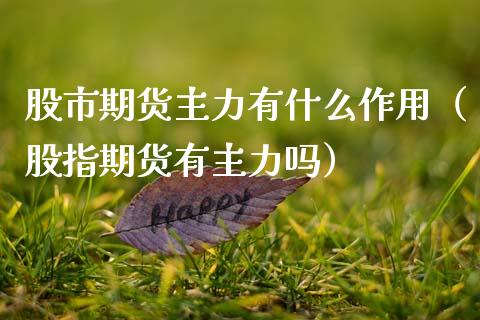 股市期货主力有什么作用（股指期货有主力吗）