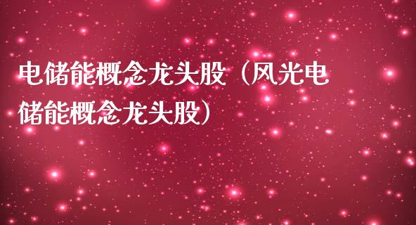 电储能概念龙头股（风光电储能概念龙头股）