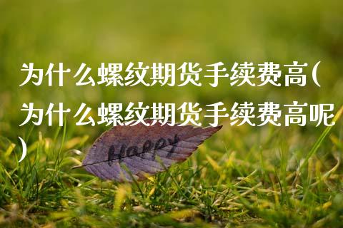 为什么螺纹期货手续费高(为什么螺纹期货手续费高呢)