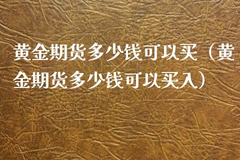 黄金期货多少钱可以买（黄金期货多少钱可以买入）