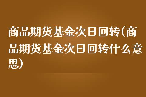 商品期货基金次日回转(商品期货基金次日回转什么意思)