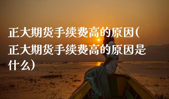正大期货手续费高的原因(正大期货手续费高的原因是什么)