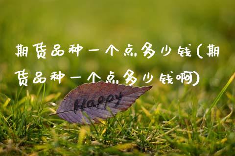 期货品种一个点多少钱(期货品种一个点多少钱啊)