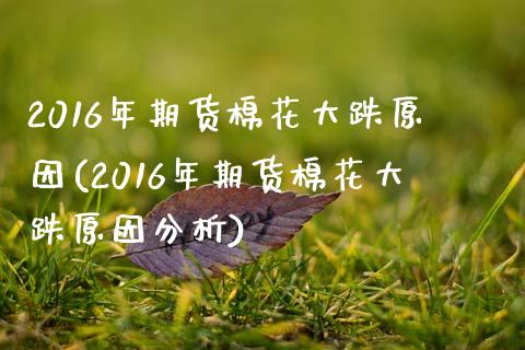 2016年期货棉花大跌原因(2016年期货棉花大跌原因分析)
