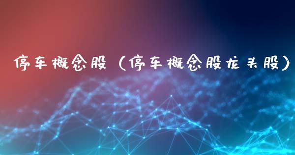 停车概念股（停车概念股龙头股）