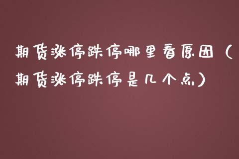 期货涨停跌停哪里看原因（期货涨停跌停是几个点）