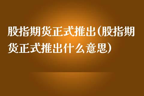 股指期货正式推出(股指期货正式推出什么意思)