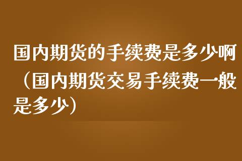 国内期货的手续费是多少啊（国内期货交易手续费一般是多少）