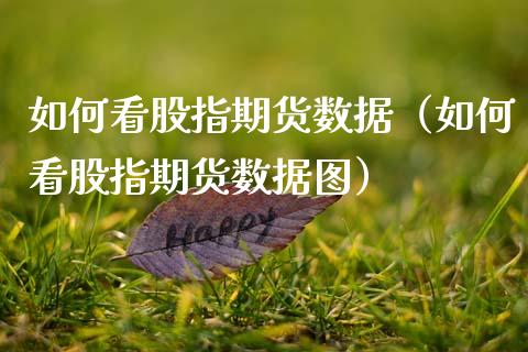 如何看股指期货数据（如何看股指期货数据图）