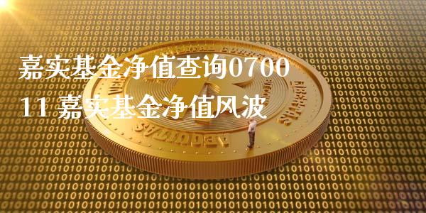 嘉实基金净值查询070011 嘉实基金净值风波_https://www.dglong8.com_基金理财_第1张