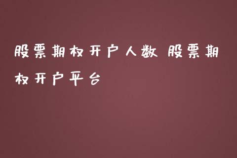 股票期权开户人数 股票期权开户平台_https://www.dglong8.com_理财百科_第1张
