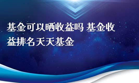 基金可以晒收益吗 基金收益排名天天基金