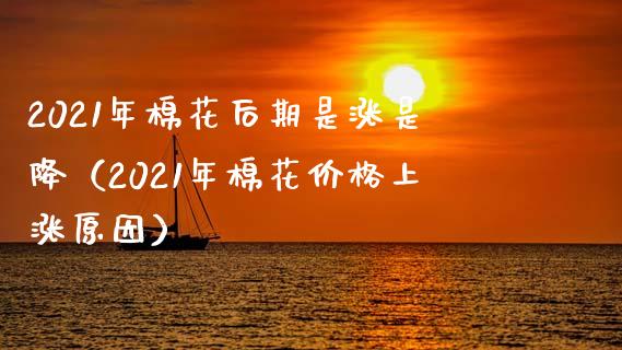 2021年棉花后期是涨是降（2021年棉花价格上涨原因）