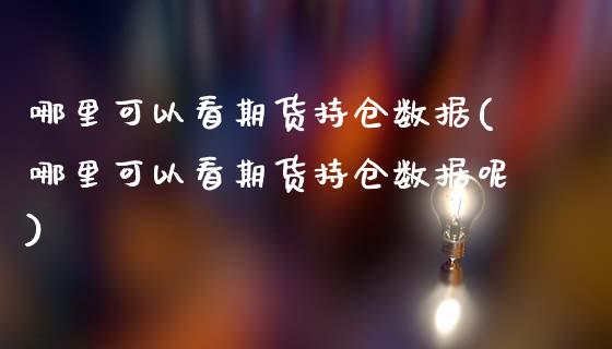 哪里可以看期货持仓数据(哪里可以看期货持仓数据呢)