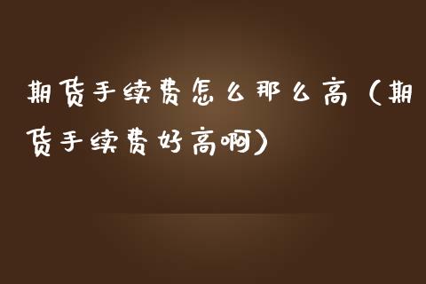 期货手续费怎么那么高（期货手续费好高啊）