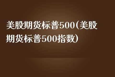 美股期货标普500(美股期货标普500指数)