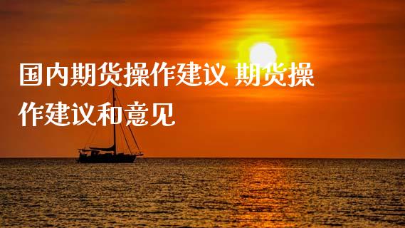 国内期货操作建议 期货操作建议和意见
