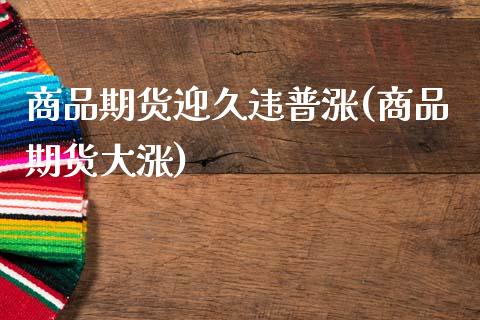 商品期货迎久违普涨(商品期货大涨)