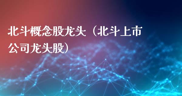 北斗概念股龙头（北斗上市公司龙头股）