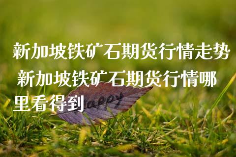 新加坡铁矿石期货行情走势 新加坡铁矿石期货行情哪里看得到