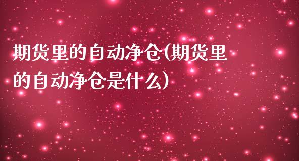 期货里的自动净仓(期货里的自动净仓是什么)