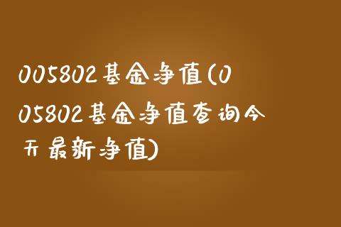 005802基金净值(005802基金净值查询今天最新净值)