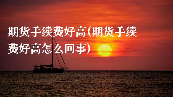 期货手续费好高(期货手续费好高怎么回事)
