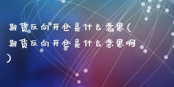 期货反向开仓是什么意思(期货反向开仓是什么意思啊)