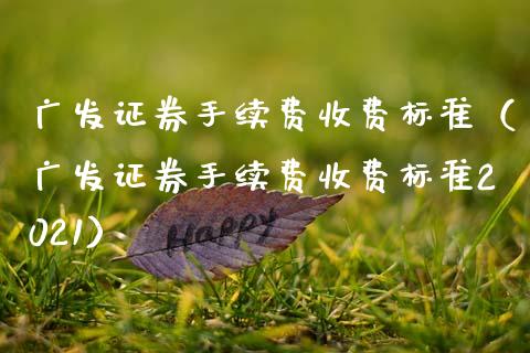 广发证券手续费收费标准（广发证券手续费收费标准2021）