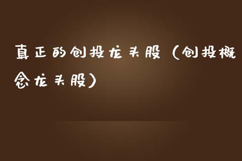 真正的创投龙头股（创投概念龙头股）_https://www.dglong8.com_财经要闻_第1张