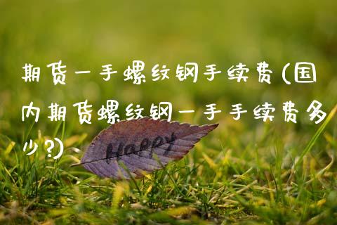 期货一手螺纹钢手续费(国内期货螺纹钢一手手续费多少?)