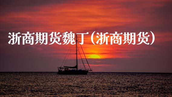 浙商期货魏丁(浙商期货)