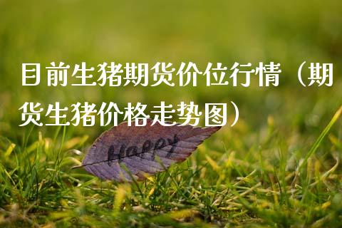 目前生猪期货价位行情（期货生猪价格走势图）