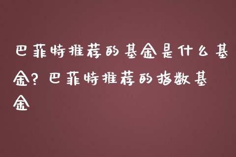 巴菲特推荐的基金是什么基金? 巴菲特推荐的指数基金