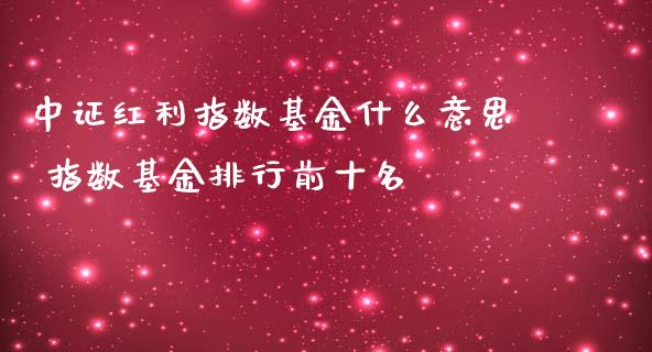 中证红利指数基金什么意思 指数基金排行前十名