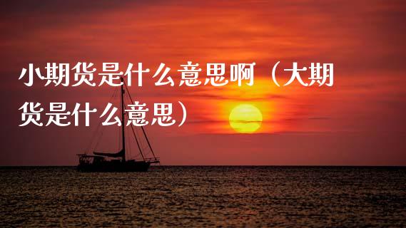 小期货是什么意思啊（大期货是什么意思）