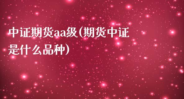 中证期货aa级(期货中证是什么品种)
