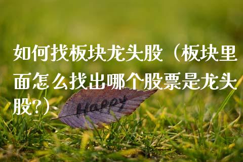 如何找板块龙头股（板块里面怎么找出哪个股票是龙头股?）