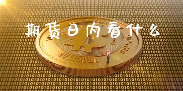 期货日内看什么