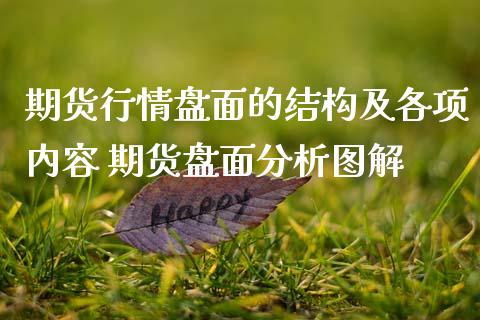 期货行情盘面的结构及各项内容 期货盘面分析图解_https://www.dglong8.com_期货理财_第1张