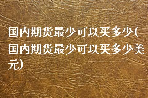 国内期货最少可以买多少(国内期货最少可以买多少美元)