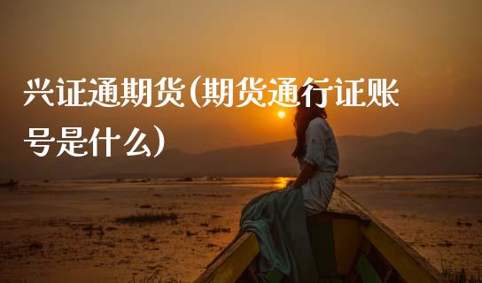 兴证通期货(期货账号是什么)