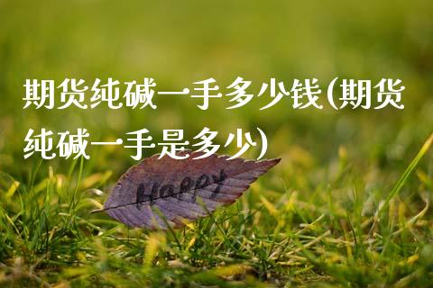期货纯碱一手多少钱(期货纯碱一手是多少)