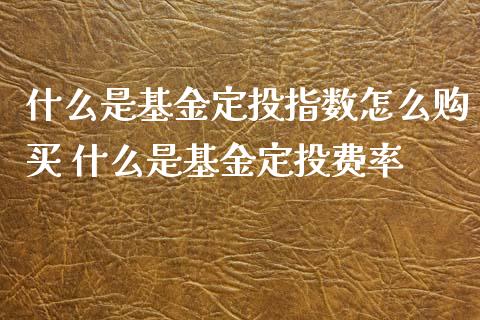 什么是基金定投指数怎么购买 什么是基金定投费率_基金理财_第1张_宇龙理财网 什么是基金定投指数怎么购买 什么是基金定投费率_https://www.dglong8.com_基金理财_第1张