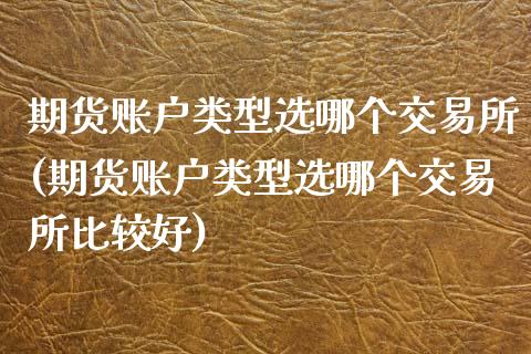 期货账户类型选哪个交易所(期货账户类型选哪个交易所比较好)
