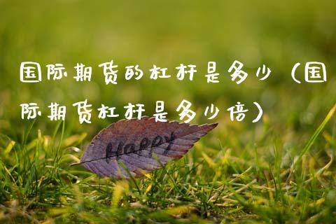 国际期货的杠杆是多少（国际期货杠杆是多少倍）