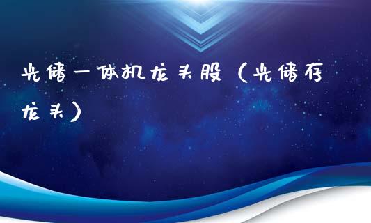 光储一体机龙头股（光储存龙头）
