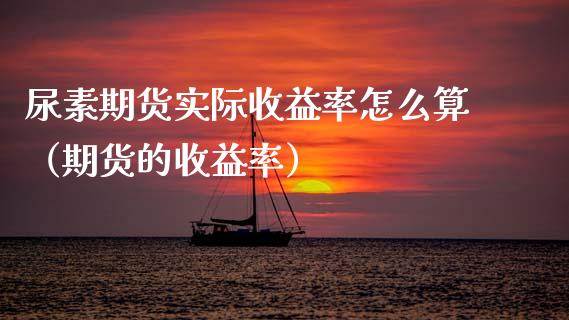 尿素期货实际收益率怎么算（期货的收益率）
